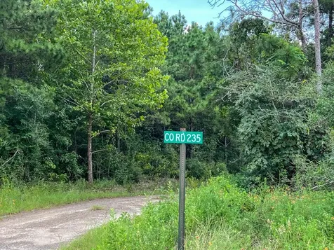 3 Rec Road 255 Browndell TX 75931
