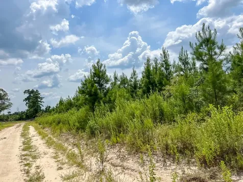 3 Rec Road 255 Browndell TX 75931