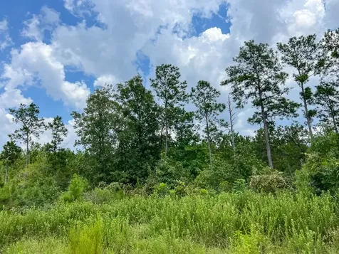 3 Rec Road 255 Browndell TX 75931