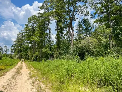 3 Rec Road 255 Browndell TX 75931