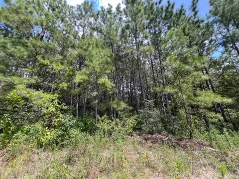 3 Rec Road 255 Browndell TX 75931