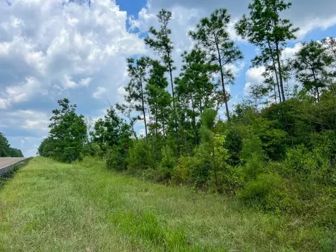 3 Rec Road 255 Browndell TX 75931