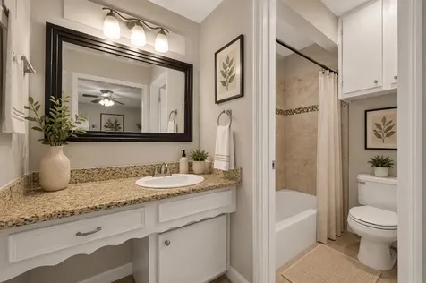 1519 Hitherfield Drive Sugar Land TX 77498