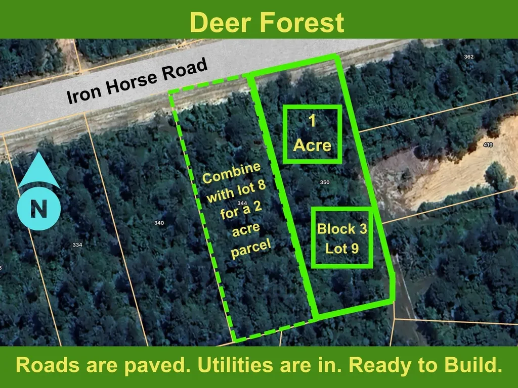 350 Iron Horse Road Willis TX 77378