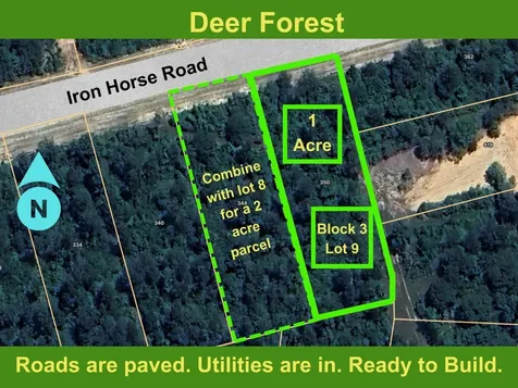 350 Iron Horse Road Willis TX 77378