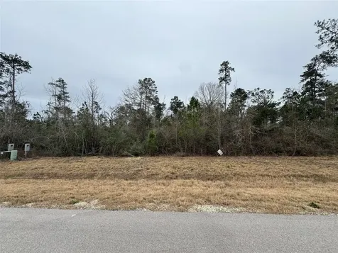 350 Iron Horse Road Willis TX 77378