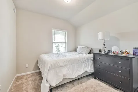 19111 Friesian Stallion Lane Tomball TX 77377