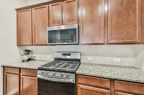 19111 Friesian Stallion Lane Tomball TX 77377