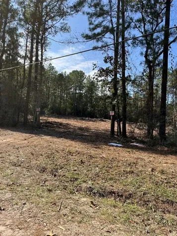 A0181 Northwest Passage Plantersville TX 77363