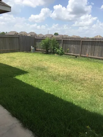 21523 Rainfall Park Drive Spring TX 77388