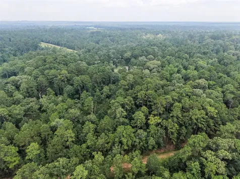 577 Winding River Road Oakhurst TX 77364