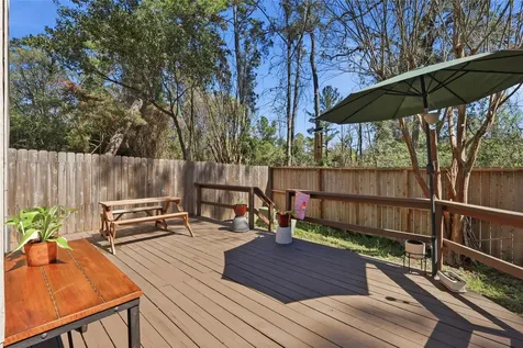 151 Anise Tree Place The Woodlands TX 77382
