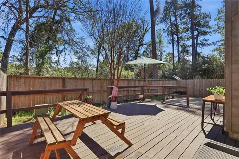 151 Anise Tree Place The Woodlands TX 77382