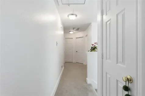 151 Anise Tree Place The Woodlands TX 77382