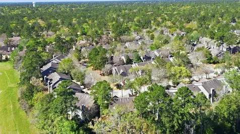 151 Anise Tree Place The Woodlands TX 77382
