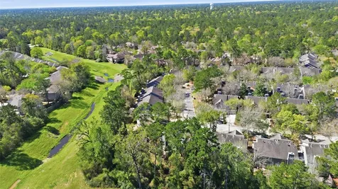 151 Anise Tree Place The Woodlands TX 77382