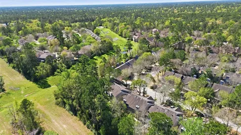 151 Anise Tree Place The Woodlands TX 77382