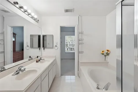 151 Anise Tree Place The Woodlands TX 77382