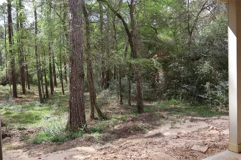 303 Pelican Street Magnolia TX 77355