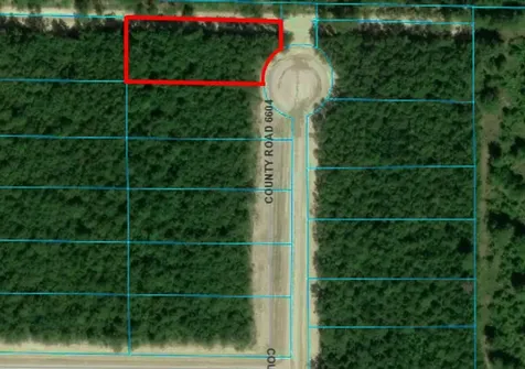 1387 Road 6604 Dayton TX 77535