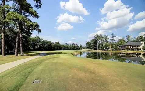 8 N Timber Top Drive The Woodlands TX 77380