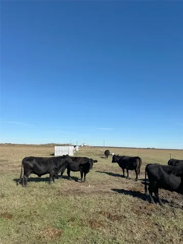 00 County Road 312 Louise TX 77455