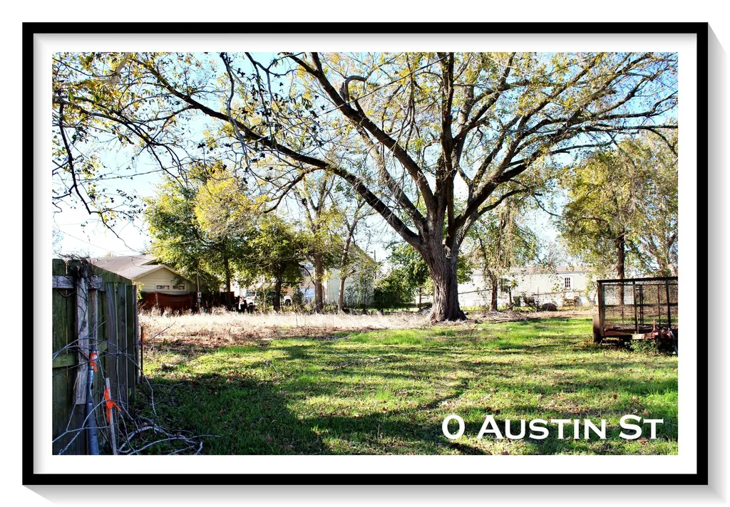 628 Austin Street Columbus TX 78934