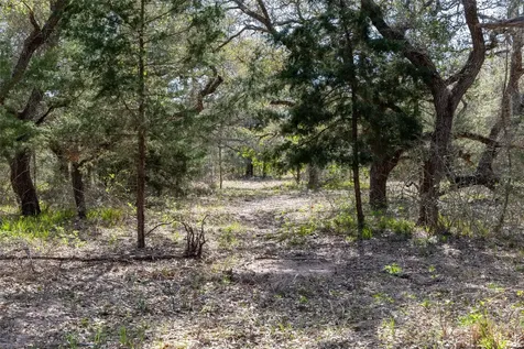 Tbd Highway 90 Sheridan TX 77475