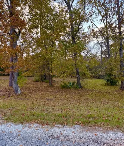 187 N Forest Drive Huntsville TX 77340
