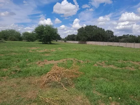7802 Old Yeller Road Needville TX 77461