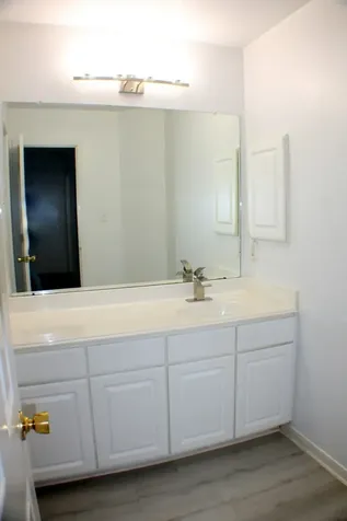 14810 Juniper Dale Court Houston TX 77049
