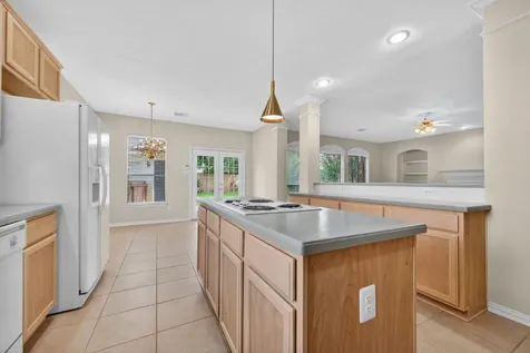 12236 S Shadow Cove Drive Houston TX 77082