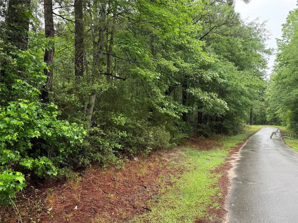 Lot 2 John Keely Road Zavalla TX 75980