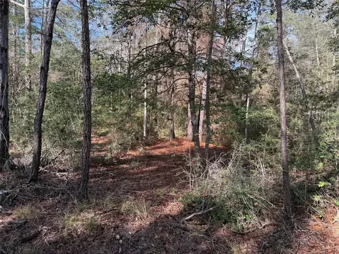 Lot 2 John Keely Road Zavalla TX 75980