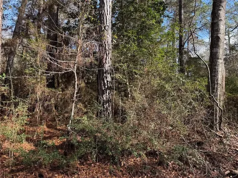 Lot 2 John Keely Road Zavalla TX 75980