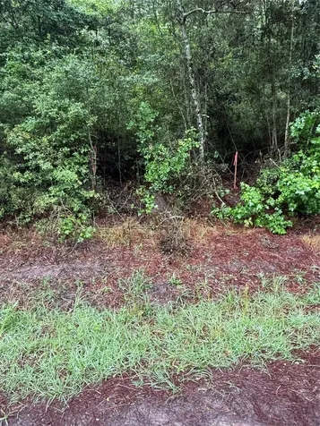 Lot 2 John Keely Road Zavalla TX 75980