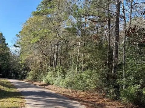 Lot 2 John Keely Road Zavalla TX 75980