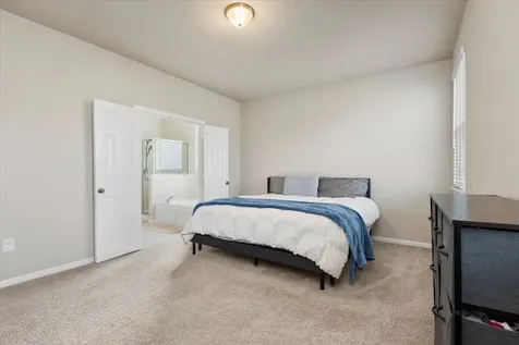 17111 Daylily Dune Way Hockley TX 77447