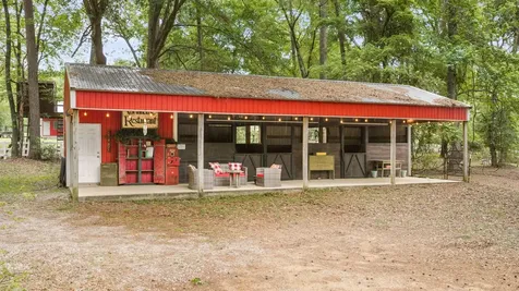 15058 Lake Paula Drive Willis TX 77318