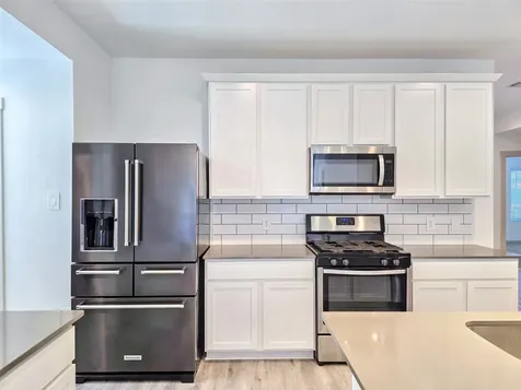 28931 Lupo River Court Katy TX 77494