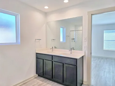 28931 Lupo River Court Katy TX 77494