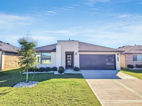 28931 Lupo River Court Katy TX 77494