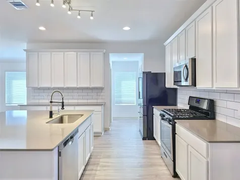 28931 Lupo River Court Katy TX 77494