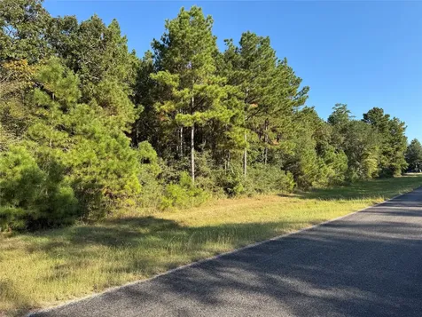 1-1-51 Saddle Ridge Drive Huntsville TX 77340