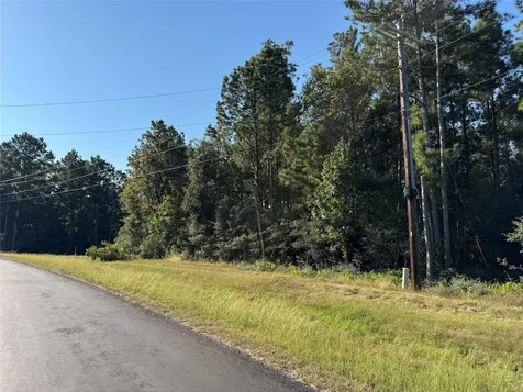 1-1-51 Saddle Ridge Drive Huntsville TX 77340