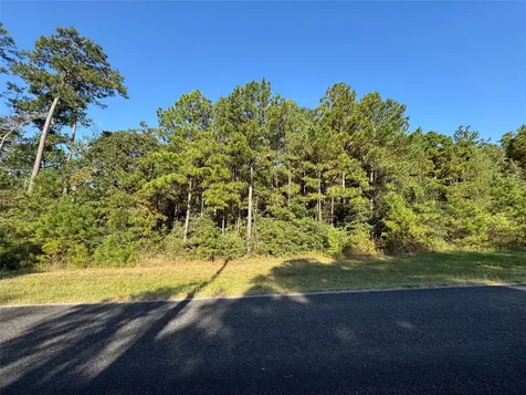 1-1-51 Saddle Ridge Drive Huntsville TX 77340