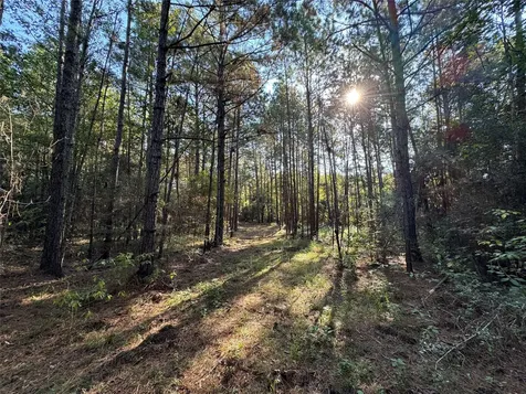 1-1-51 Saddle Ridge Drive Huntsville TX 77340