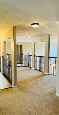 13227 Orchard Shadows Drive Richmond TX 77407