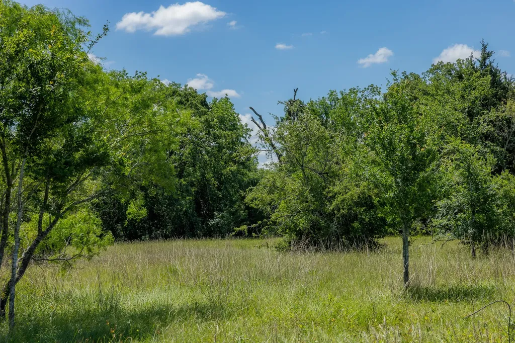 6558 Atakapan Trail Bedias TX 77831