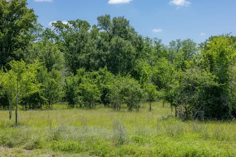 6558 Atakapan Trail Bedias TX 77831
